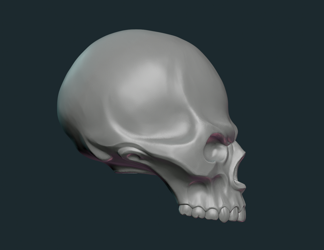 Stylized Skull 3D Print 256017