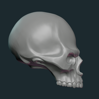 Stylized Skull - Thumbnail 19