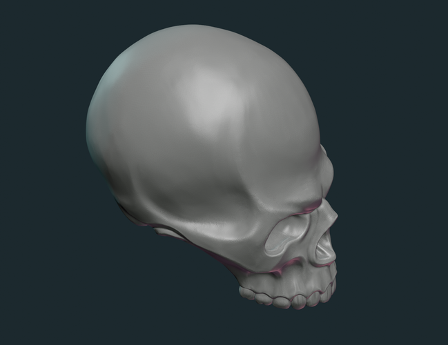 Stylized Skull 3D Print 256018