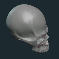 Stylized Skull - Thumbnail 20