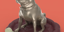 Image 256467