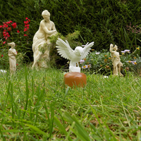 Bird - Thumbnail 4