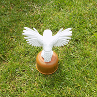 Bird - Thumbnail 6