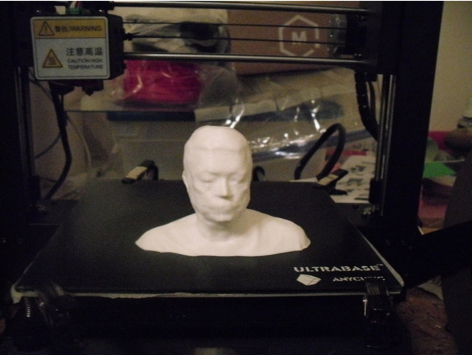 Bust print of myself from 3d scan