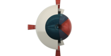 Image 257396