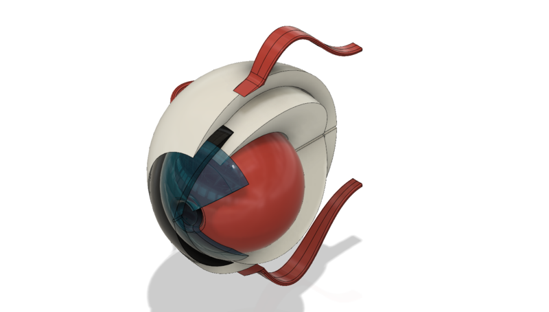The Eye Structure