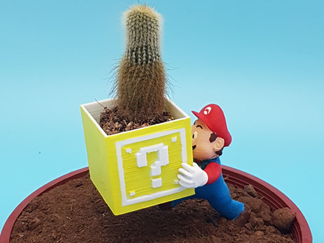Mario Garden Helper 3D Print 257445