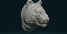 Image 257462