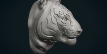Image 257464