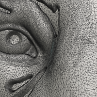 Tiger Head - Thumbnail 13