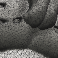 Tiger Head - Thumbnail 15