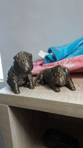 Shar Pei 3D Print 257575