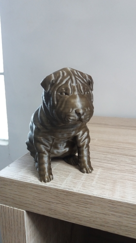 Shar Pei 3D Print 257576