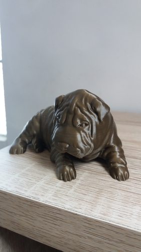 Shar Pei 3D Print 257577