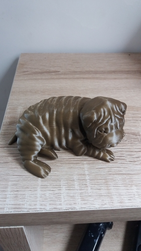 Shar Pei 3D Print 257578