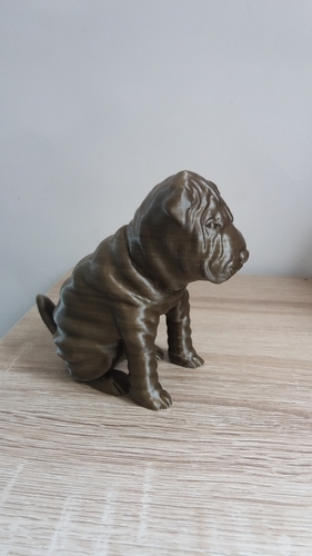 Shar Pei 3D Print 257579