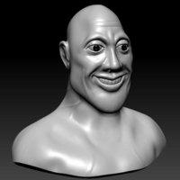 Small Stylized Rock-Dwayne Johnson Bust 3D Printing 257616
