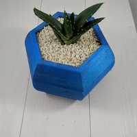 Small Hexagon Planter 3D Printing 258041