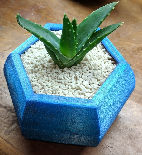 Hexagon Planter 3D Print 258042