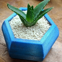 Hexagon Planter - Thumbnail 2