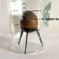 Sputnik - Avocado Seed Grow Seat - Thumbnail 4