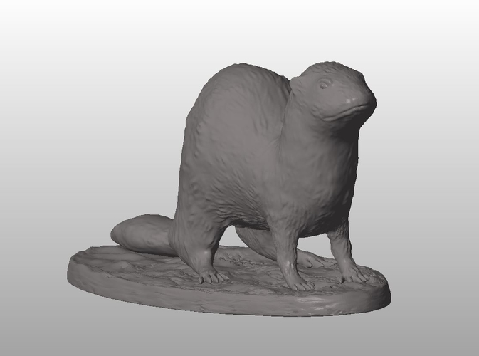 Ferret 3D Print 258825