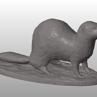 Small Ferret 3D Printing 258829