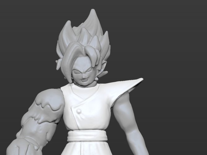  Fused Zamasu 3D Print 259097