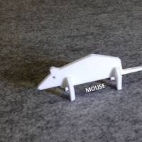 Simple Animals 7 - Thumbnail 2