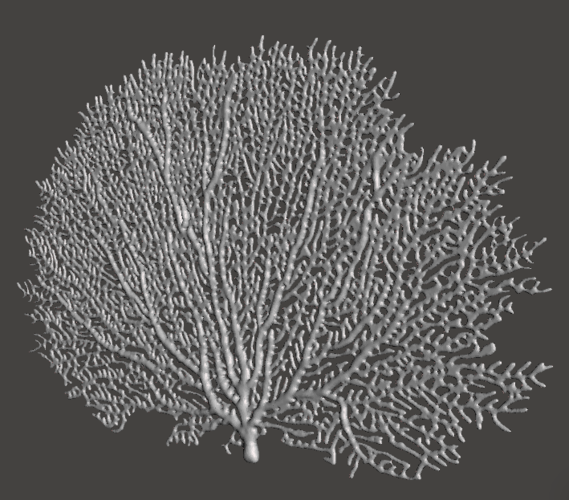 Seafan Coral 3D Print 259499