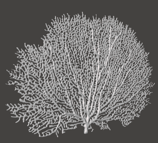 Seafan Coral 3D Print 259500