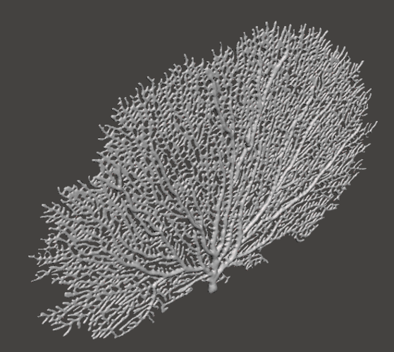 Seafan Coral 3D Print 259502