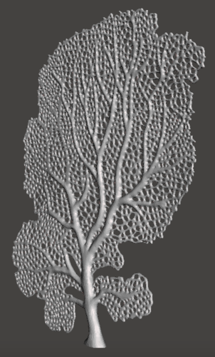 Seafan Coral 3D Print 259508