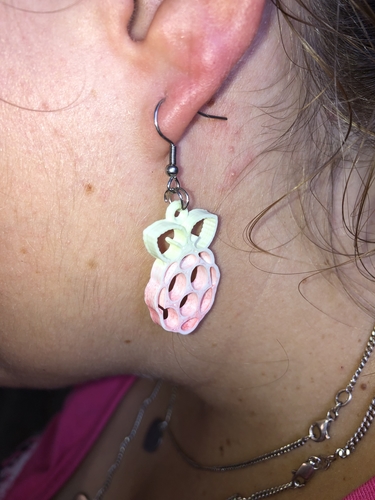 Raspberry Pi earrings