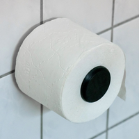 Hyper Minimalistic Toilet Paper Spool Holder - Thumbnail 1