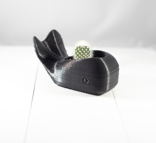 Whale Planter 3D Print 259928