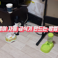 Automatic feeder for dogs made of PVC pipe - Thumbnail 1