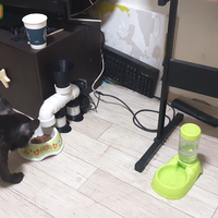 Small Automatic feeder for dogs made of PVC pipe 3D Printing 260270