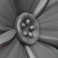 Flower I - Thumbnail 10