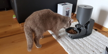 Image 260596