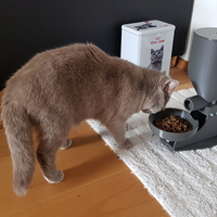 Fully automatic cat feeder - Thumbnail 3