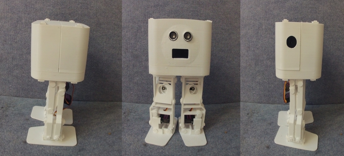 BORIS the Biped for Beginners and Beyond 3D Print 261275