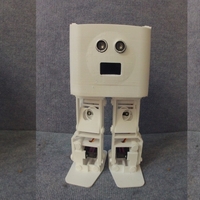 BORIS the Biped for Beginners and Beyond - Thumbnail 1