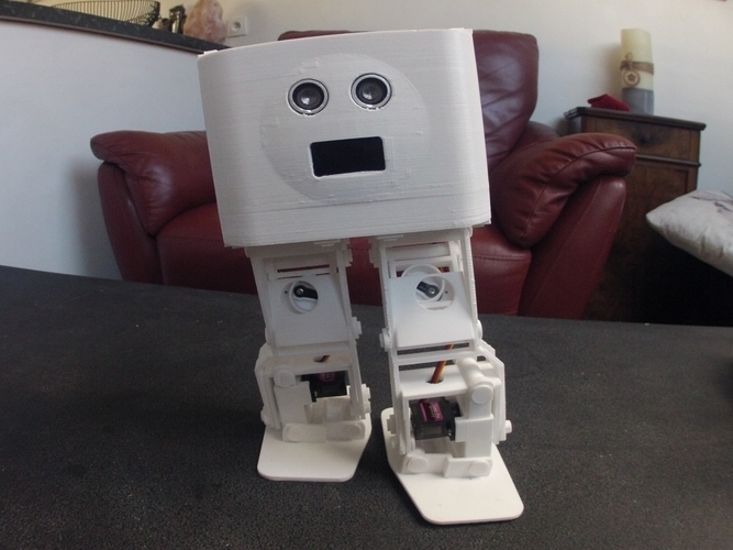 BORIS the Biped for Beginners and Beyond 3D Print 261355