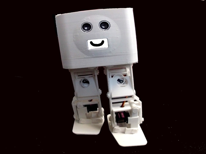 BORIS the Biped for Beginners and Beyond 3D Print 261848
