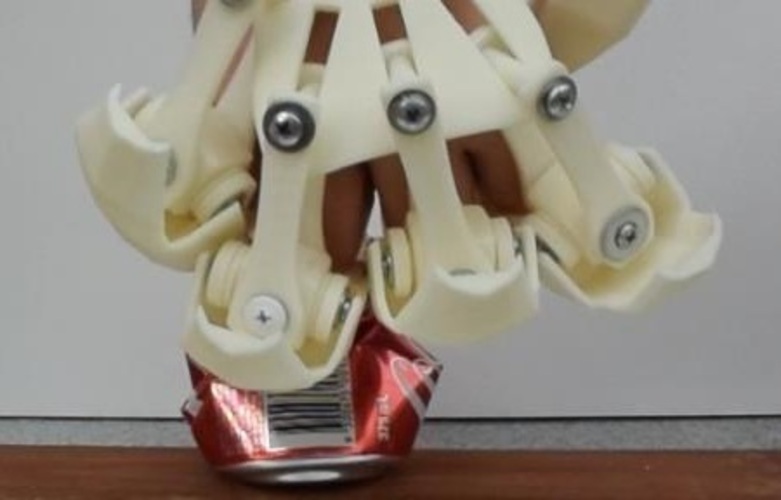 3D Printed Exoskeleton Hands 3D Print 26185