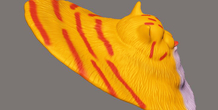Image 262033