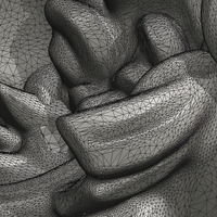 Lion Head - Thumbnail 21