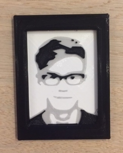 Custom 3d Portrait in a frame from the photo