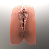 female body 2k19 #6 - Thumbnail 4